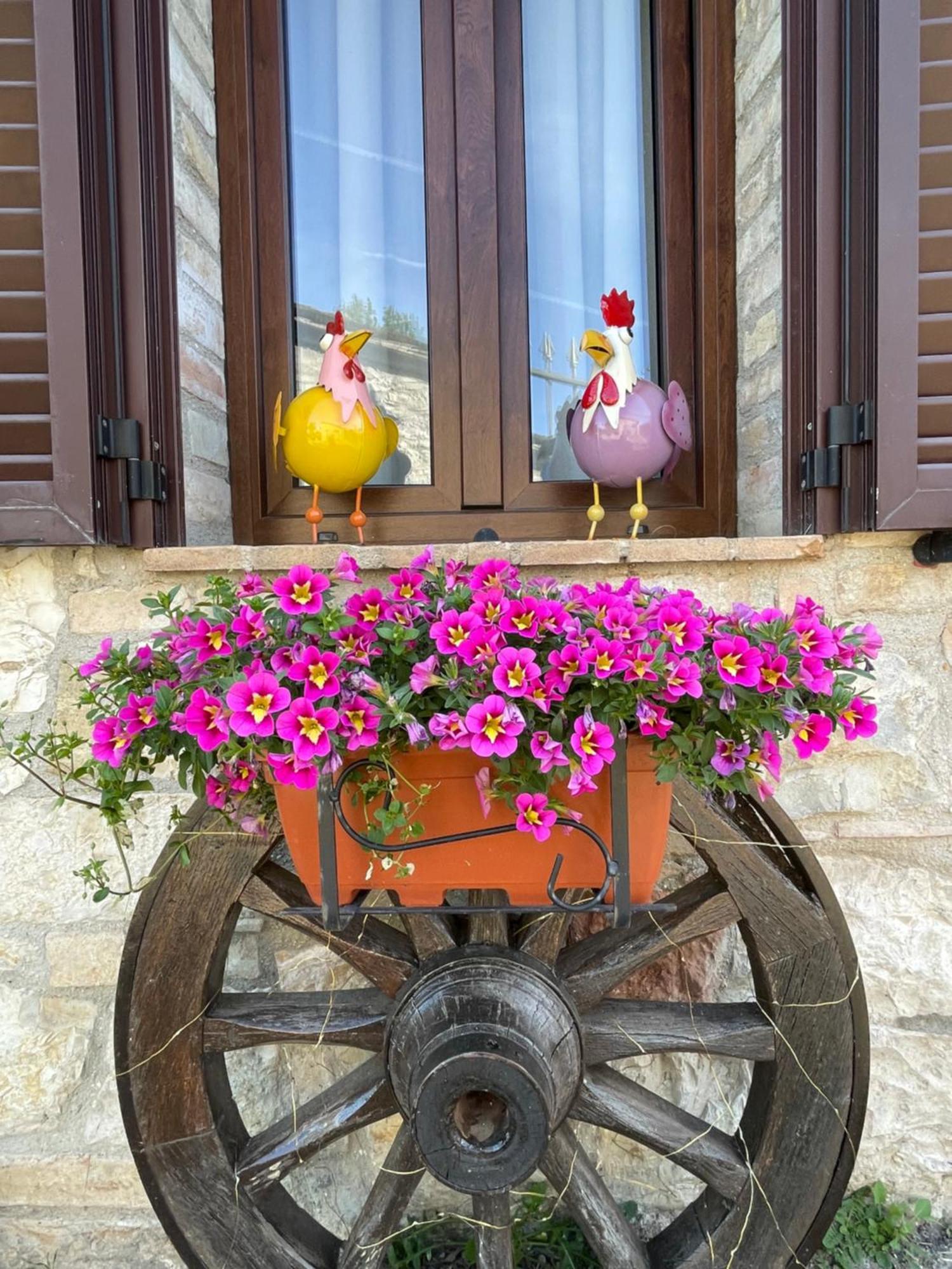 Ca Di Milla B&B 아시시 외부 사진